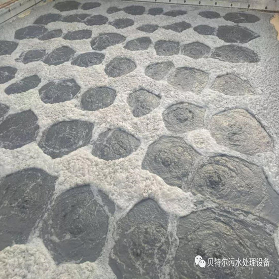 山東貝特環(huán)保出口設備成功運行！